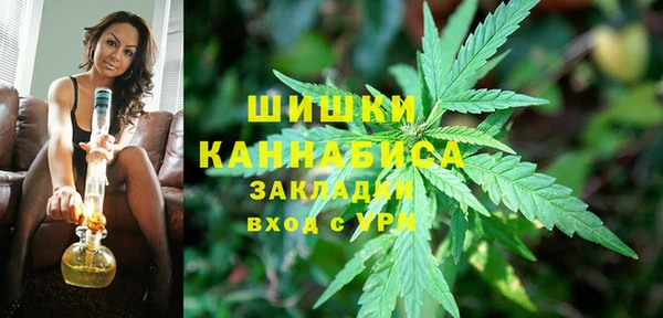гидра Аркадак